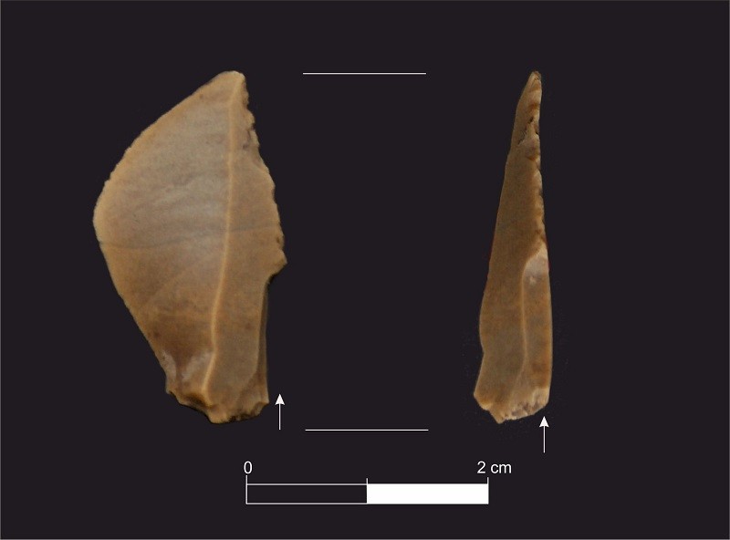 Upper Palaeolithic burin